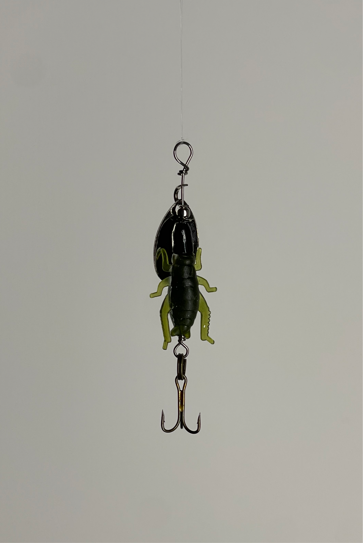 The Flying Cricket