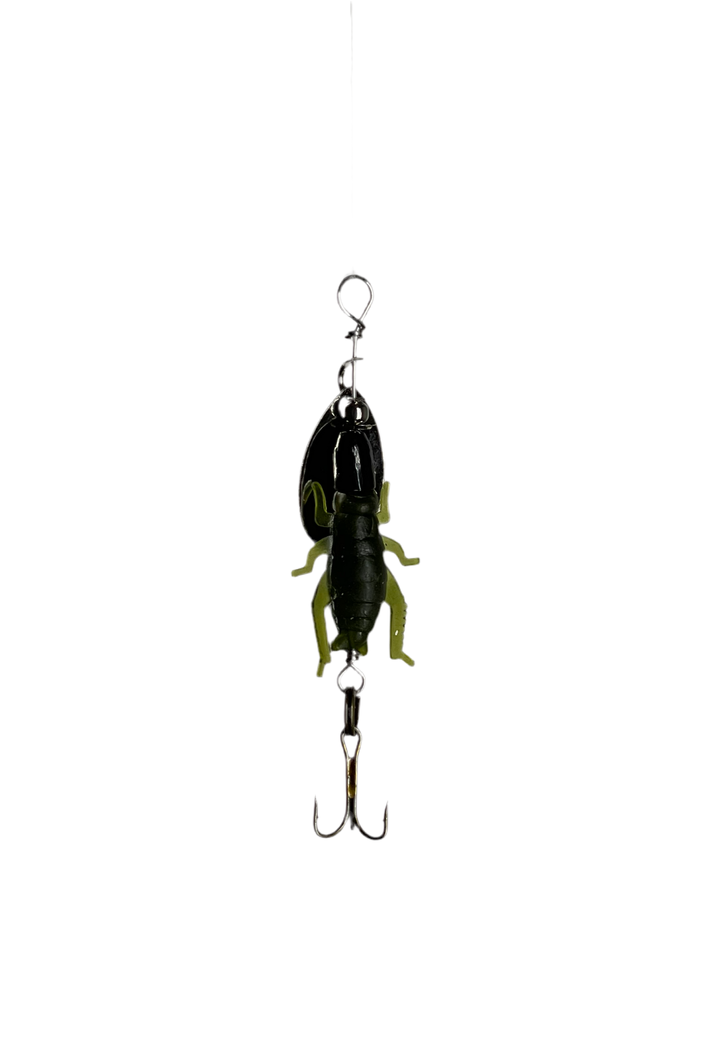 The Flying Cricket
